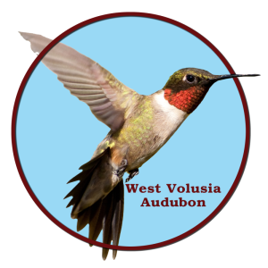 west volusia audubon